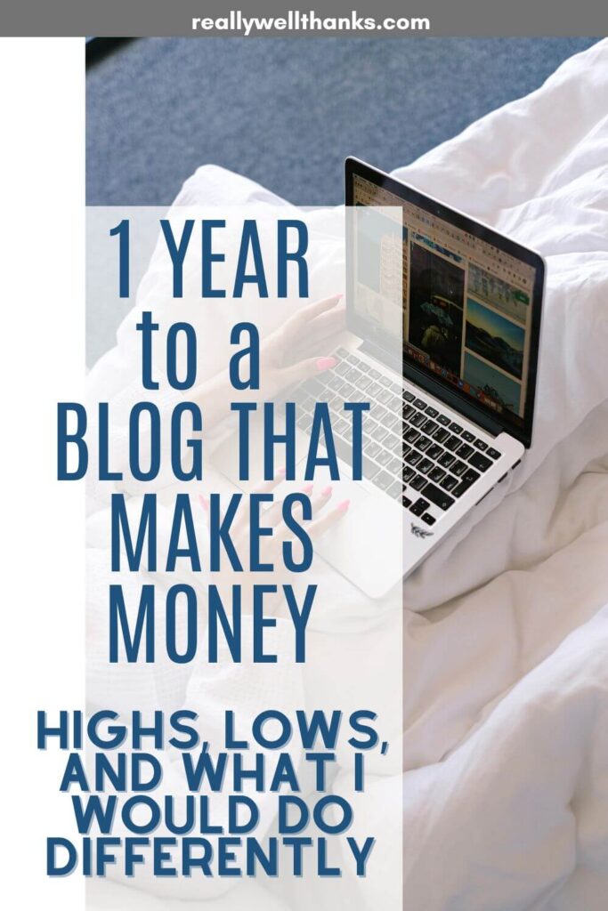 Blog Income Report November 2024 - year in review - really well, thanks!